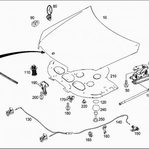 Capô Mercedes Benz